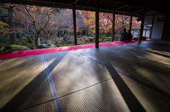 晩秋の京都