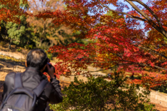 紅葉風景@撮影中