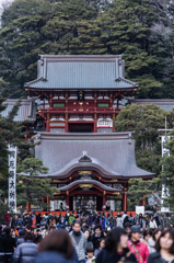 鎌倉散歩@鶴岡八幡宮#3