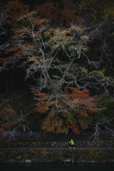 京都嵐山