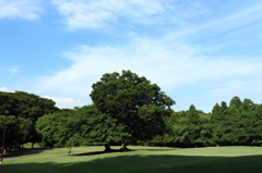 根岸森林公園と周辺