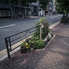 街ブラ
