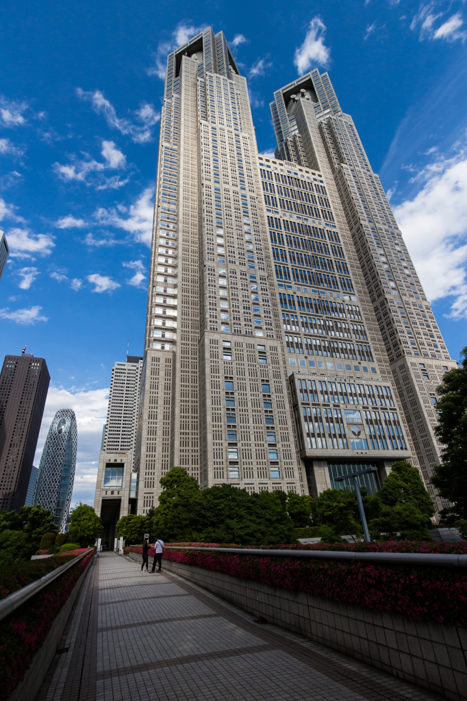 新宿中央公園