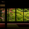 京都旅行#7