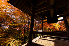 秋の京都・常寂光寺