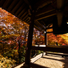 秋の京都・常寂光寺