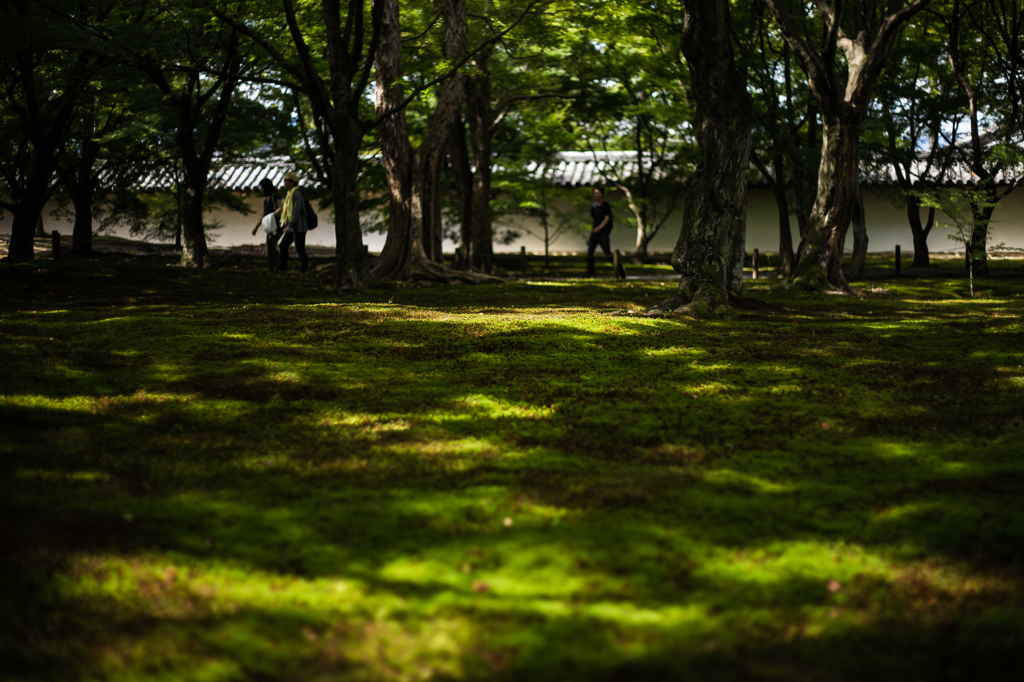 京都旅行#45