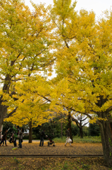 紅葉風景@昭和記念公園