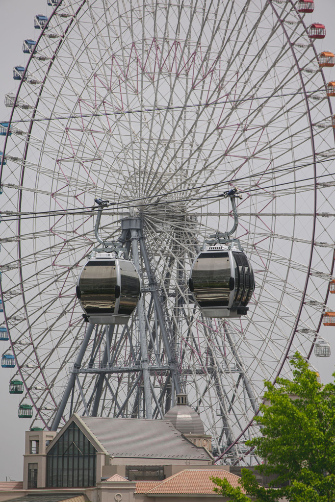 新しい風景