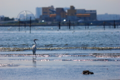 葛西臨海公園_6