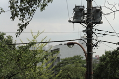 多摩永山周辺散歩６