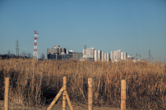 街風景@多摩#1