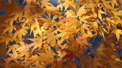 昭和記念公園03