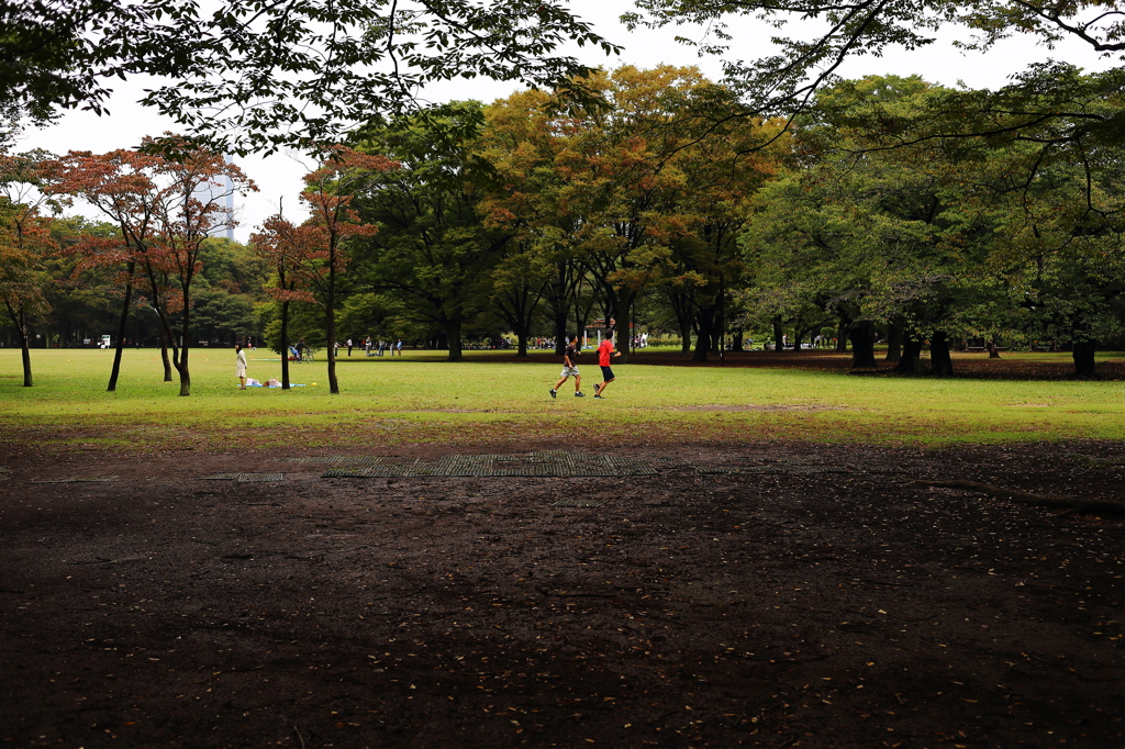 雨上がりの公園