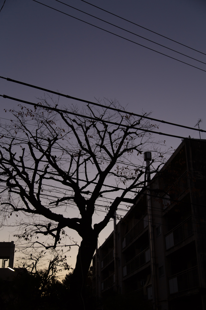団地の夕暮れ