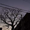 団地の夕暮れ