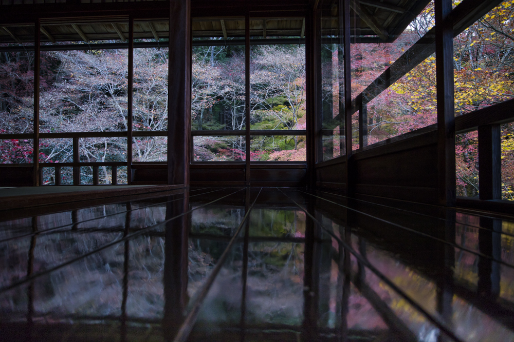 晩秋の京都