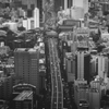 首都高速