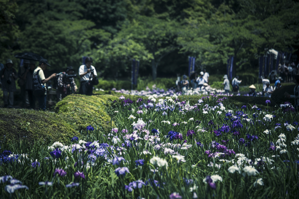 町田薬師池公園にて