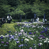 町田薬師池公園にて