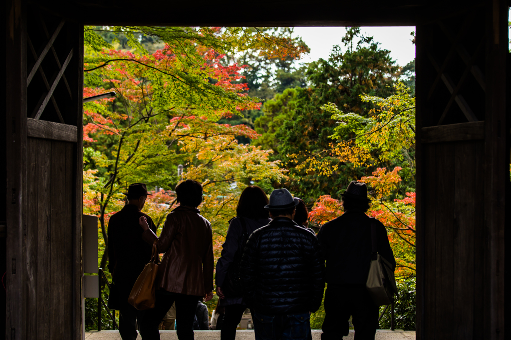 鎌倉－①