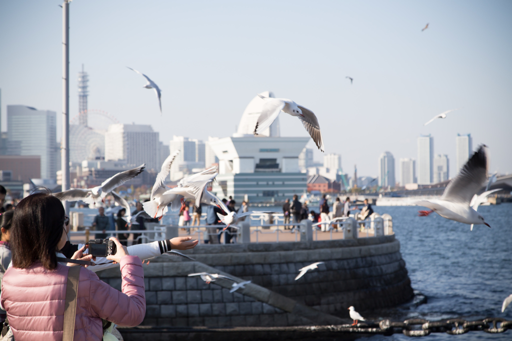 横浜散歩