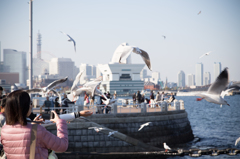 横浜散歩