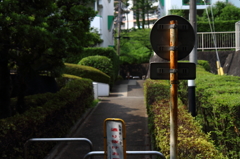 多摩永山周辺散歩７