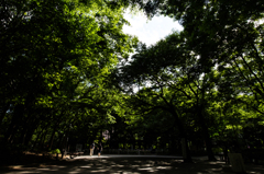 新宿中央公園