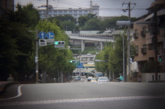 HOLGAレンズで　２