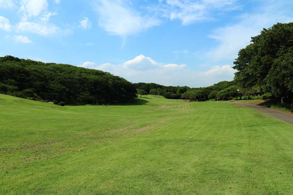 根岸森林公園と周辺