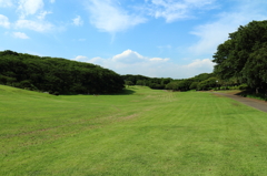根岸森林公園と周辺