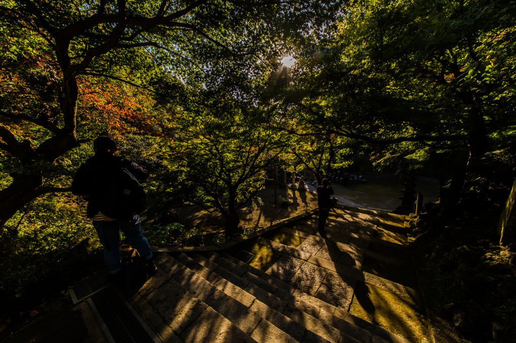 鎌倉－③