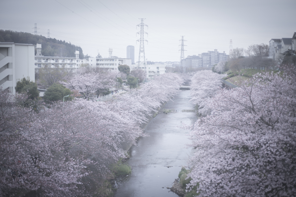 町田恩田川にて