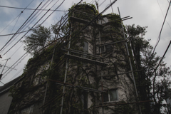 つたまみれ（建設中？）