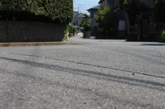 祝購入＿ご近所ためし撮り１