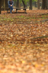 雨上がりの公園