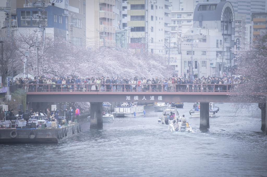 にぎわう横浜