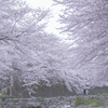 町田恩田川にて