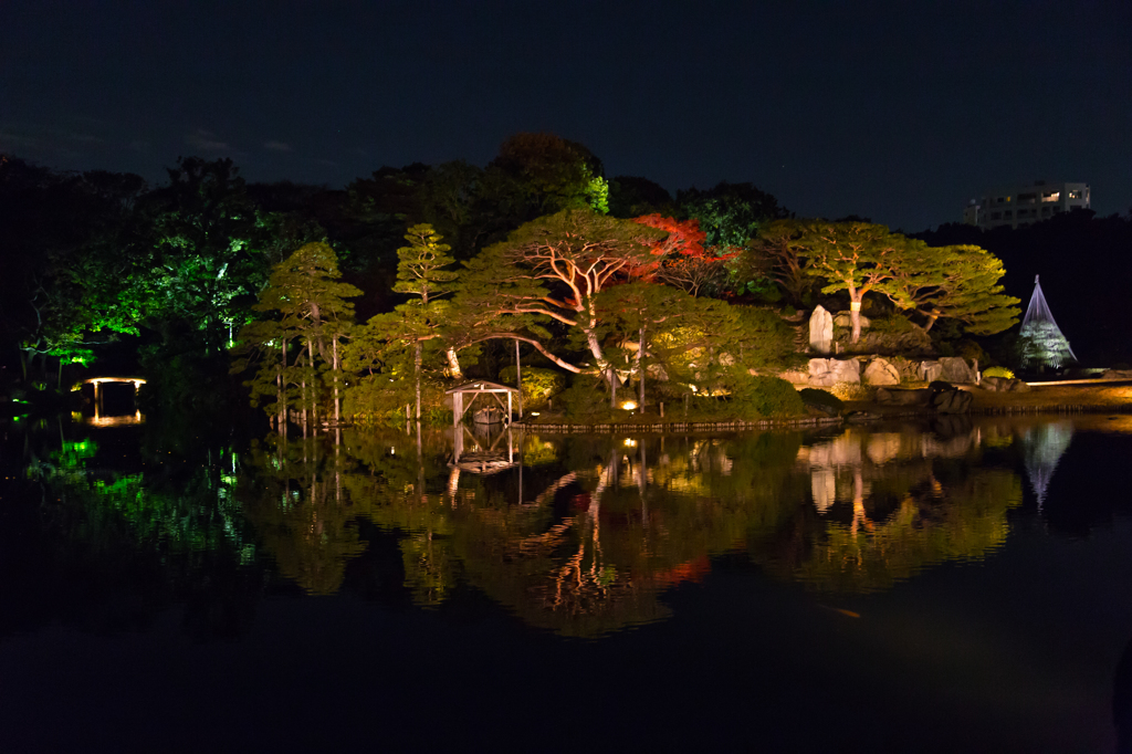 紅葉風景@六義園ライトアップ#3