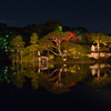 紅葉風景@六義園ライトアップ#3
