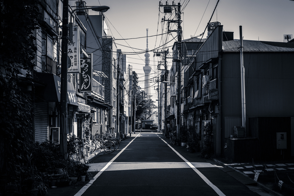 路地