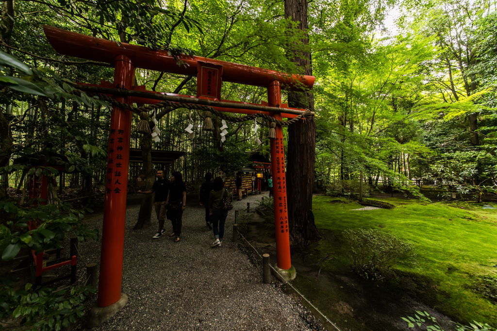 京都旅行#21