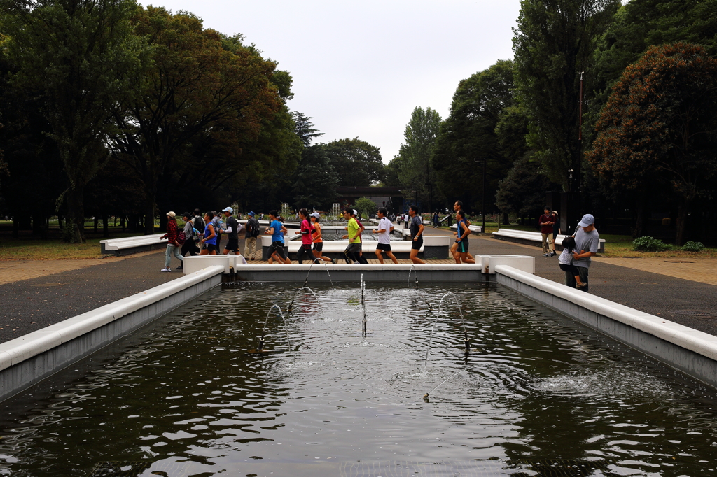 雨上がりの公園
