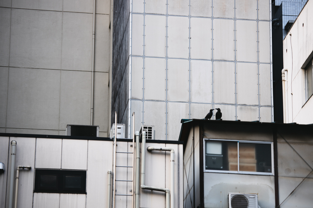 都会