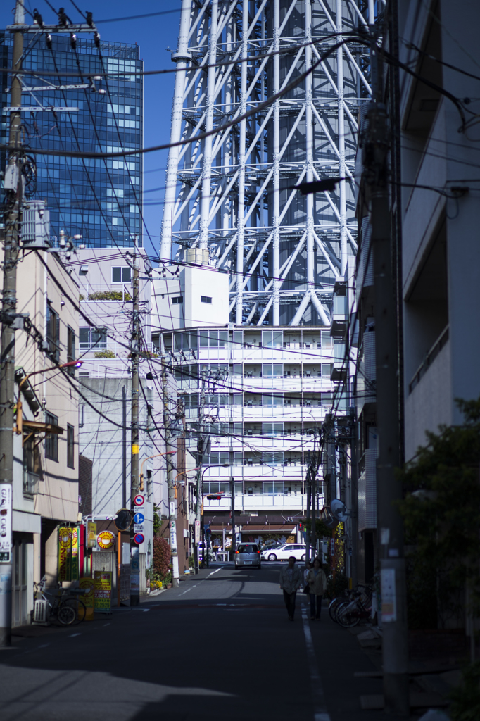 スカイツリーのある風景