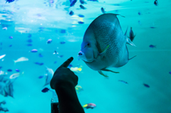葛西臨海水族館