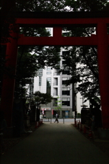 新宿散策８－花園神社