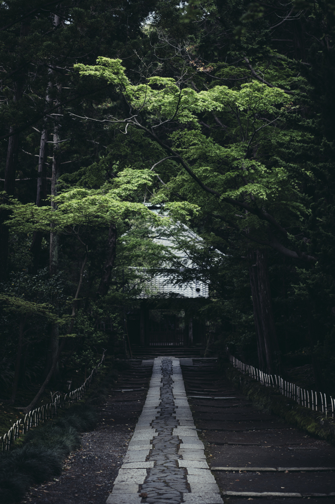 参道