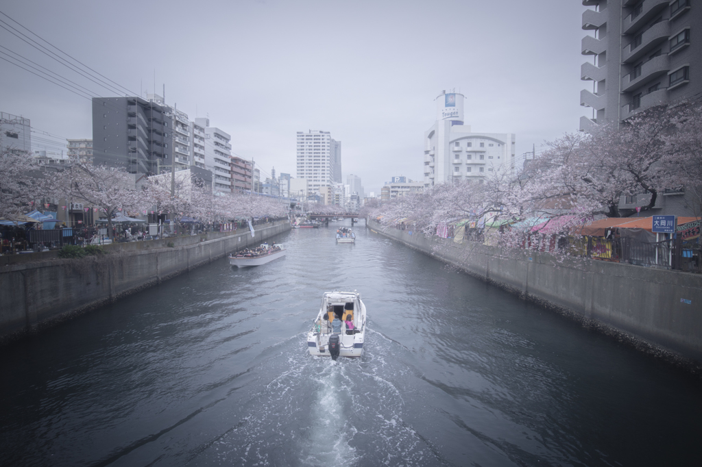 にぎわう横浜